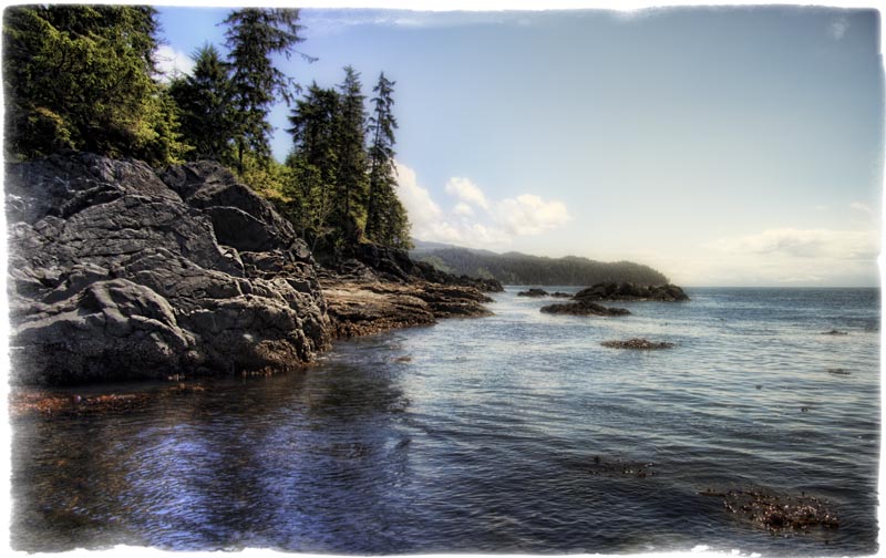Pacific coast